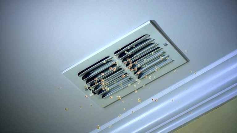 Best Best Air Duct Cleaning Near Me  in Dexter, NM