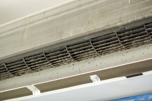 Best Emergency Air Duct Cleaning  in Dexter, NM